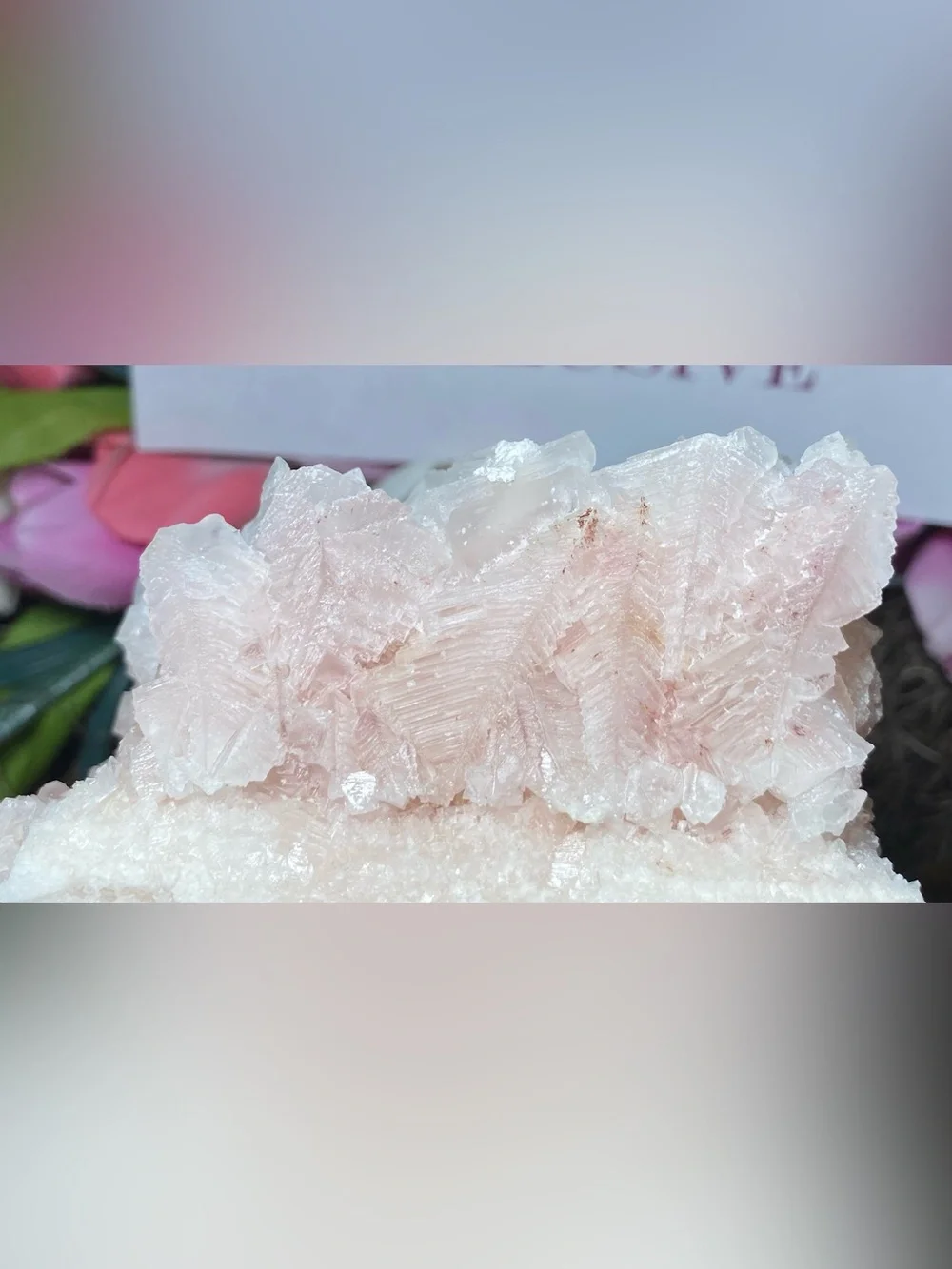 N/A stunning pink